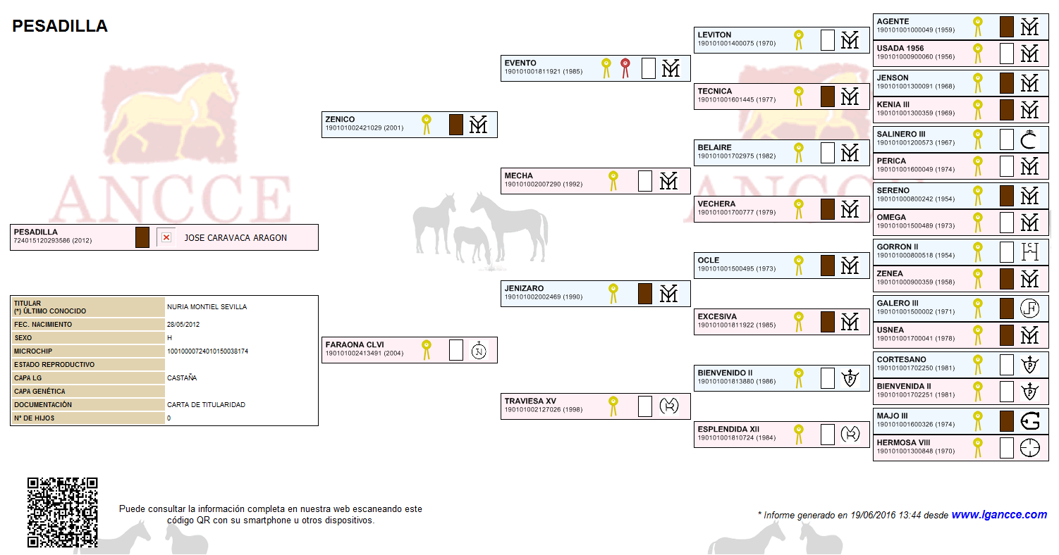 Andalusian Horses, Andalusian Mare, Andalusiche Perde, Andalusiche 